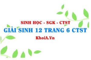 Giải Sinh 12 trang 6 Chân trời Sáng tạo